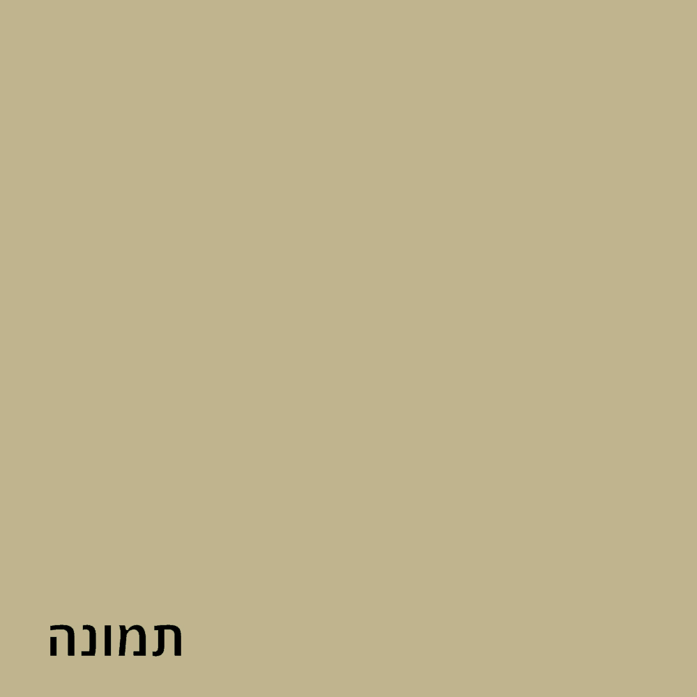 שולחן מעוצב באירוע קיץ