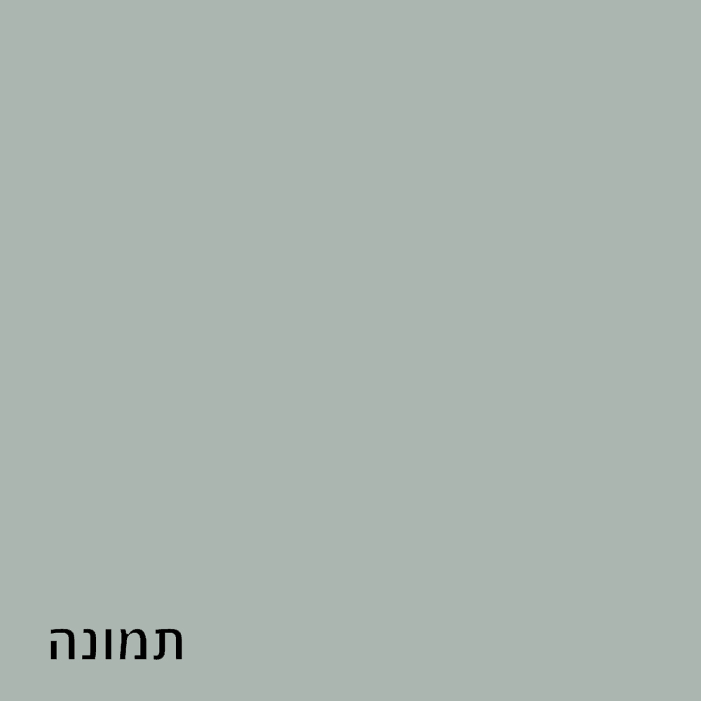 טקסט
